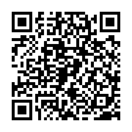 QR code for ZL87993