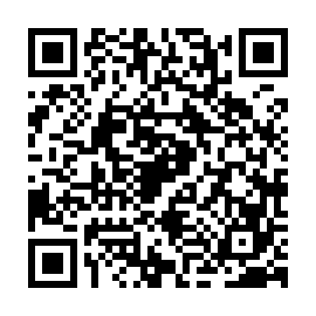QR code for ZL89666