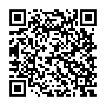 QR code for ZLD141