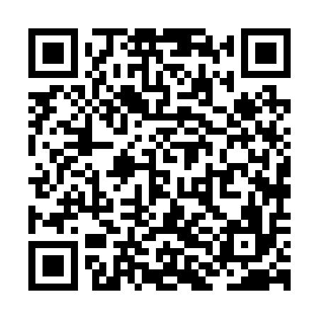 QR code for ZLH216