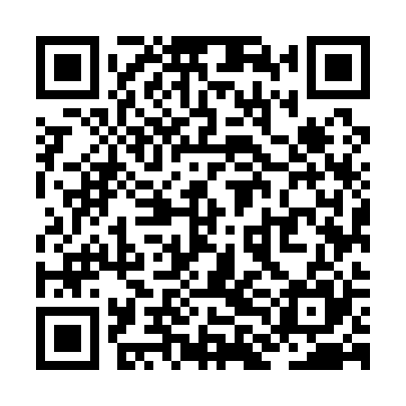 QR code for ZLM125