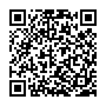 QR code for ZLM413