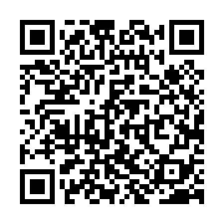 QR code for ZLT079