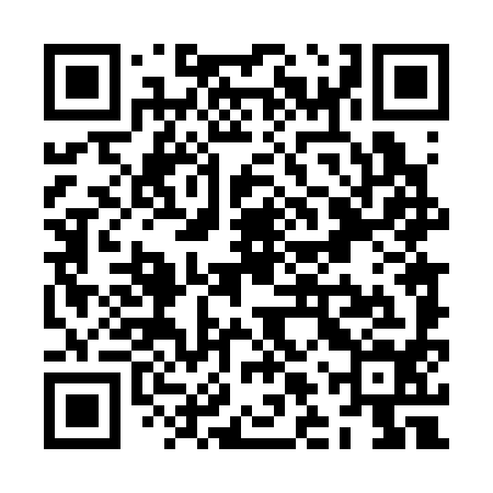 QR code for ZLT394