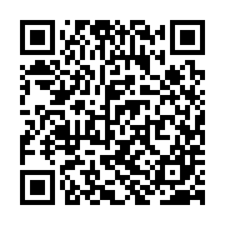 QR code for ZLU387