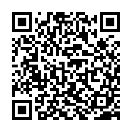 QR code for ZLU941