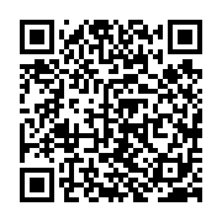 QR code for ZLX611