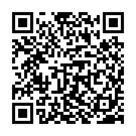 QR code for ZLY291