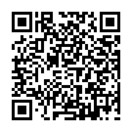 QR code for ZM17650