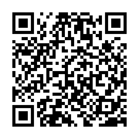 QR code for ZM5938
