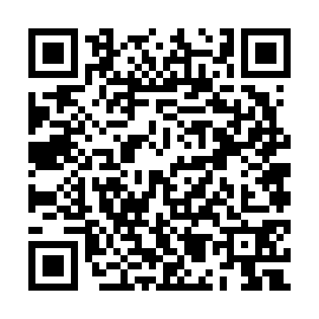 QR code for ZM66706