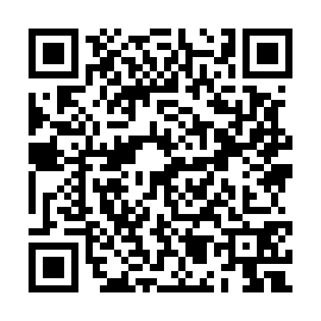 QR code for ZM95707