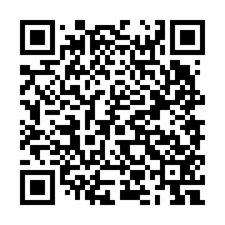 QR code for ZMN653