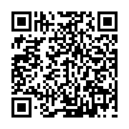 QR code for ZN12497