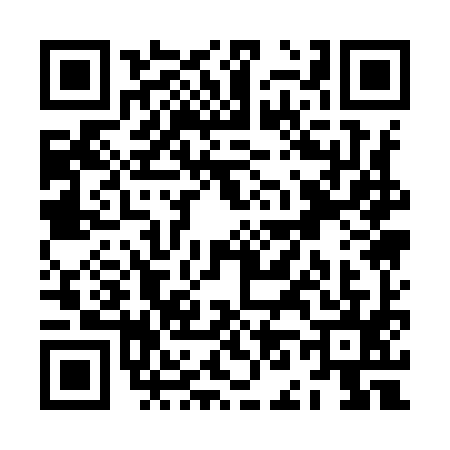 QR code for ZN19955
