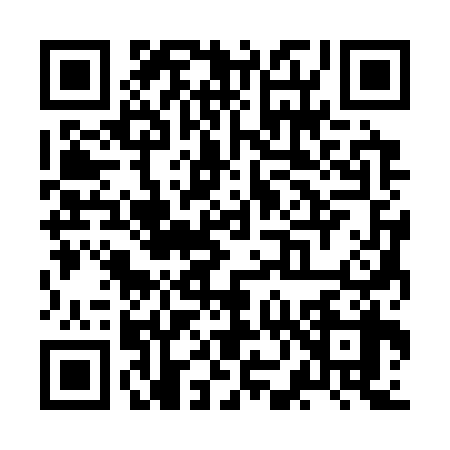 QR code for ZN33381