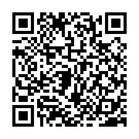 QR code for ZN51393