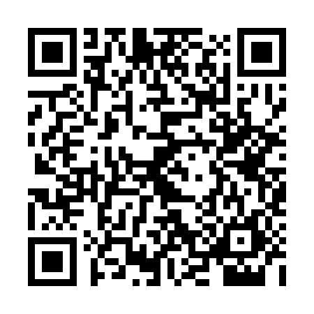 QR code for ZO13861