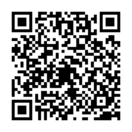 QR code for ZO17040