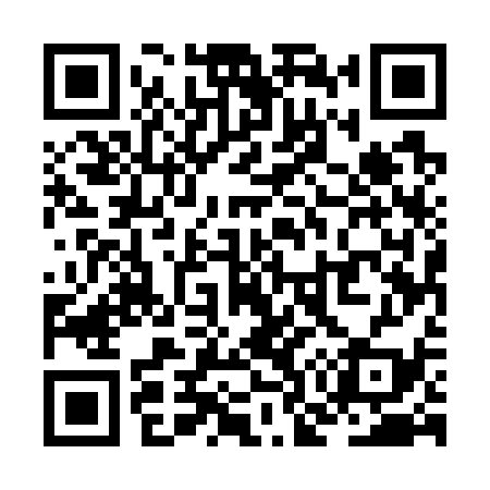 QR code for ZO5739