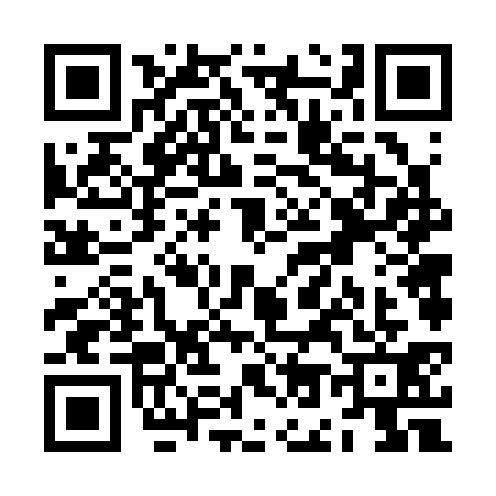 QR code for ZO63312