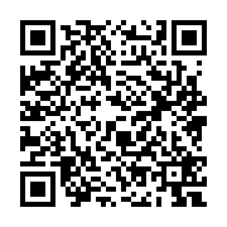 QR code for ZO83295