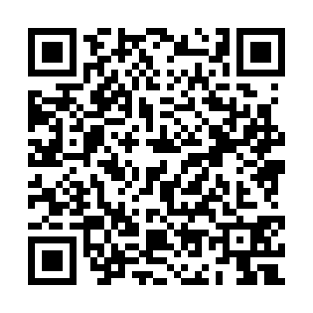 QR code for ZO83304