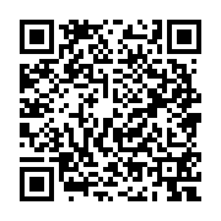 QR code for ZO86509
