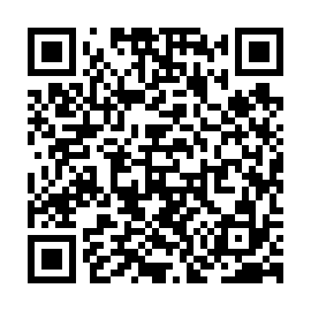 QR code for ZO9632