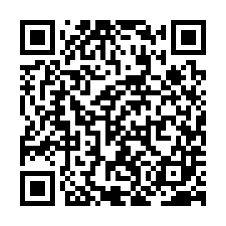 QR code for ZOE383