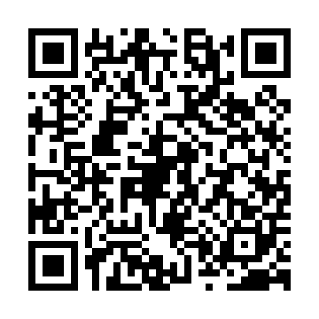 QR code for ZP10004