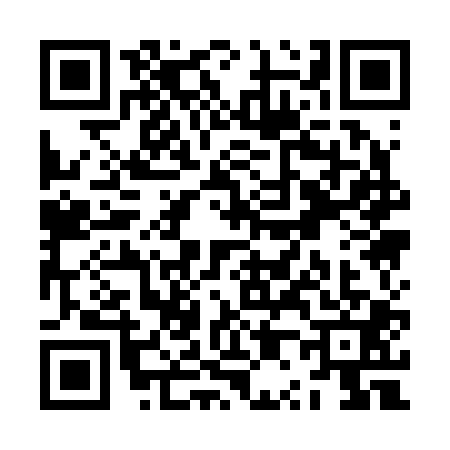 QR code for ZP12011