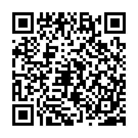 QR code for ZP13570