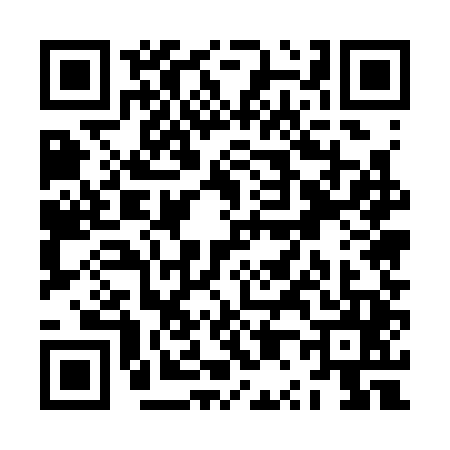QR code for ZP53450