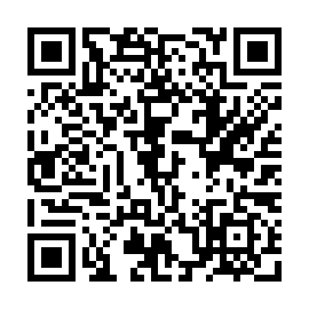 QR code for ZP63992