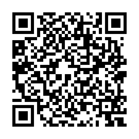 QR code for ZP96965