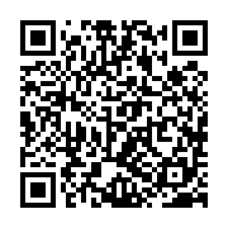 QR code for ZPH595