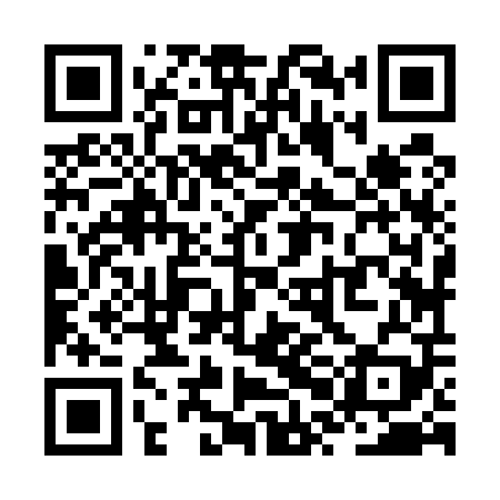 QR code for ZPJ509