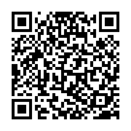 QR code for ZPN008