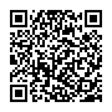 QR code for ZPN038