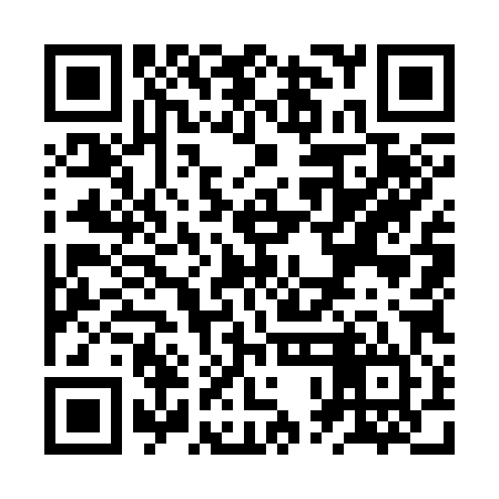 QR code for ZPO384