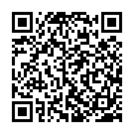 QR code for ZPT533