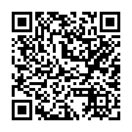 QR code for ZQG399