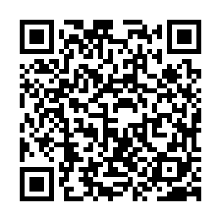 QR code for ZQJ368