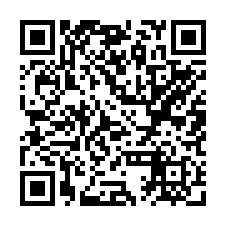 QR code for ZQM218