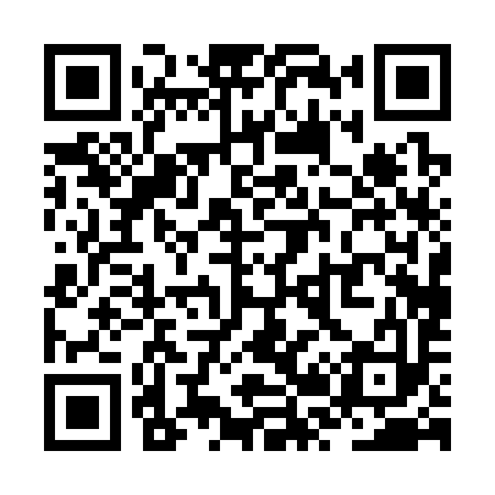 QR code for ZR0393