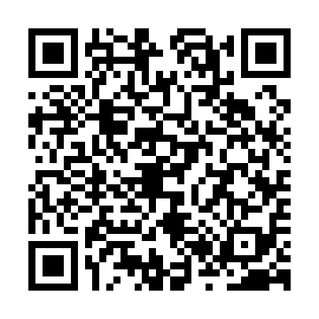 QR code for ZR31196