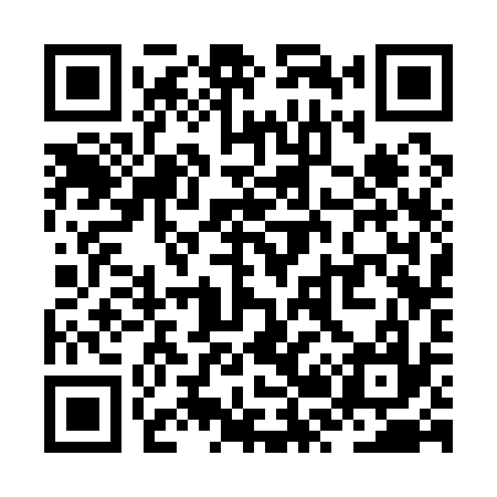 QR code for ZR3137