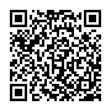 QR code for ZR4993