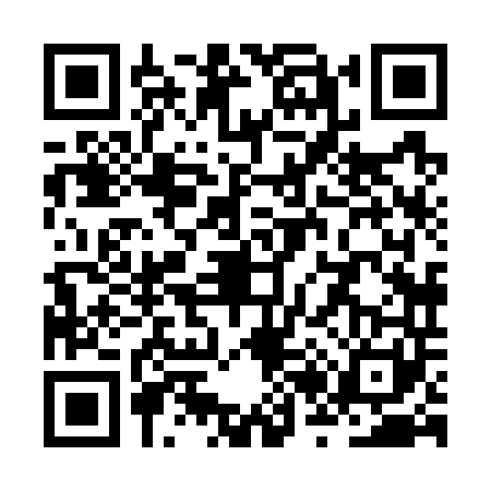 QR code for ZR87411